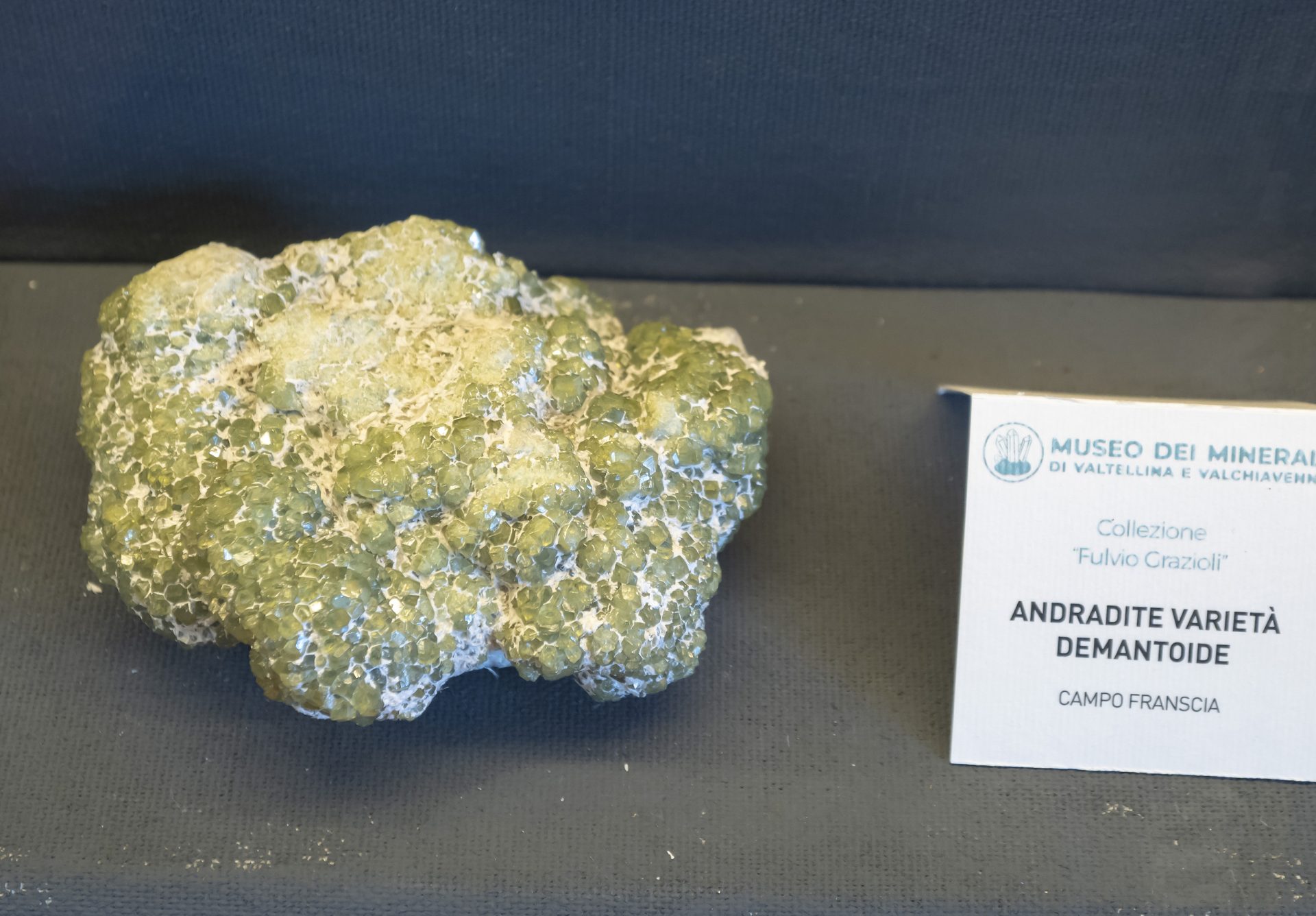 Mineral photo of Andradite (var. demantoid), Chrysotile (var. asbestos) from locality Campo Franscia, Lanzada, Sondrio Province, Lombardy, Italy