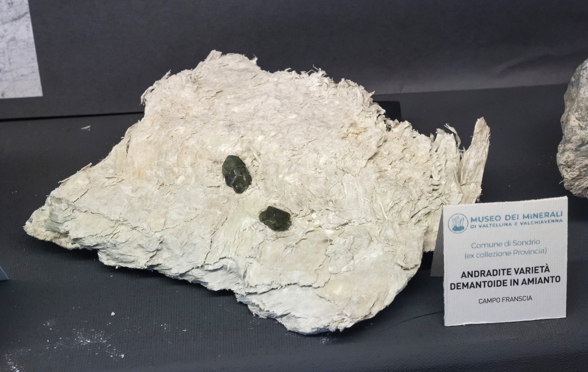 Mineral photo of Chrysotile, Andradite (var. demantoid) from locality Campo Franscia, Lanzada, Sondrio Province, Lombardy, Italy