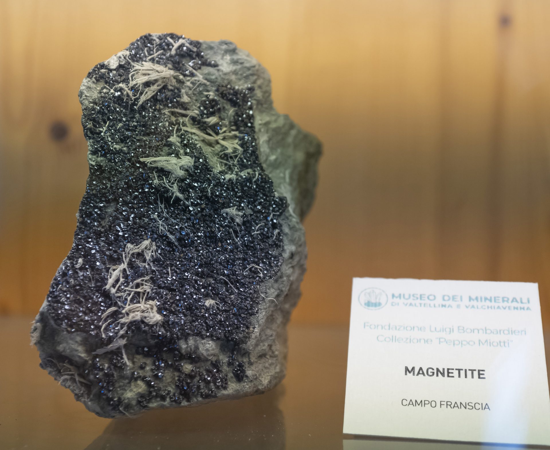 Mineral photo of Magnetite from locality Campo Franscia, Lanzada, Sondrio Province, Lombardy, Italy
