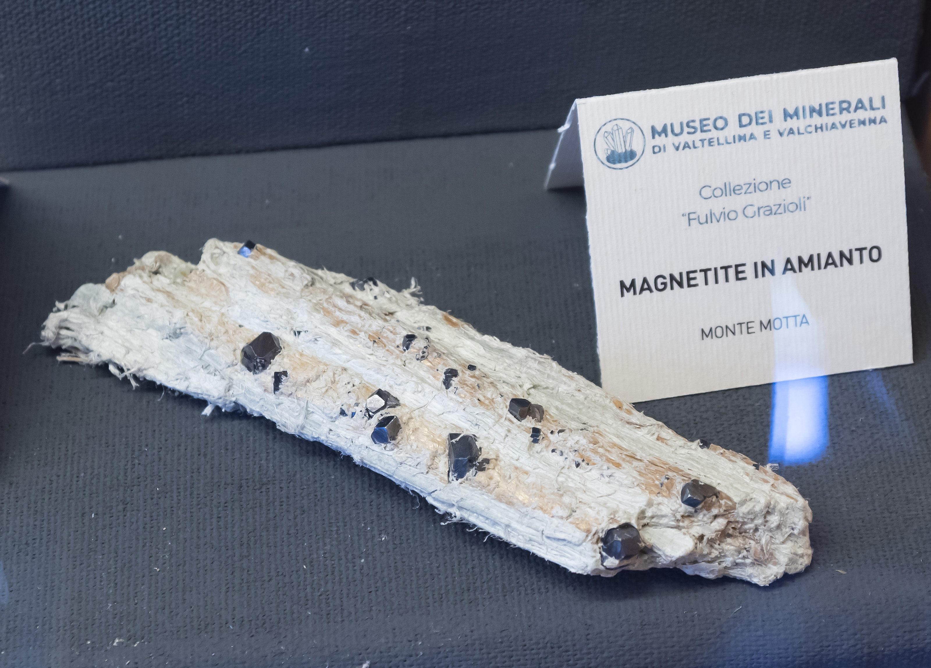 Magnetite, Chrysotile (var. asbestos)