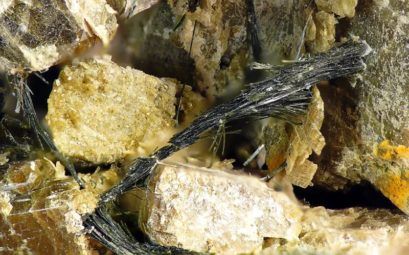 Actinolite