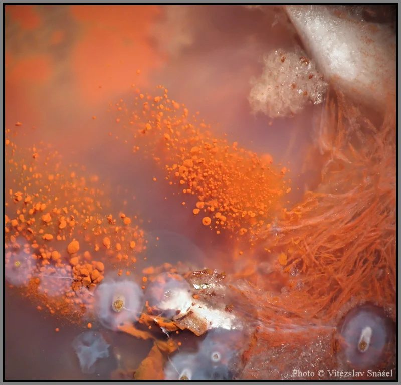 Mineral photo of Agate from locality Železnice, Czech Republic