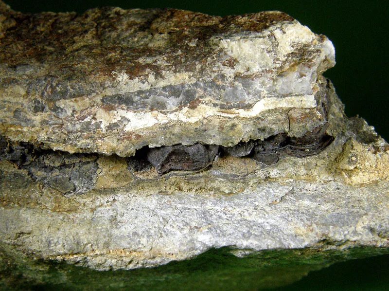 Arsenic