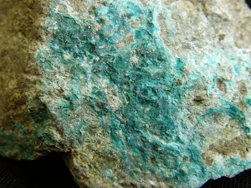 Devilline