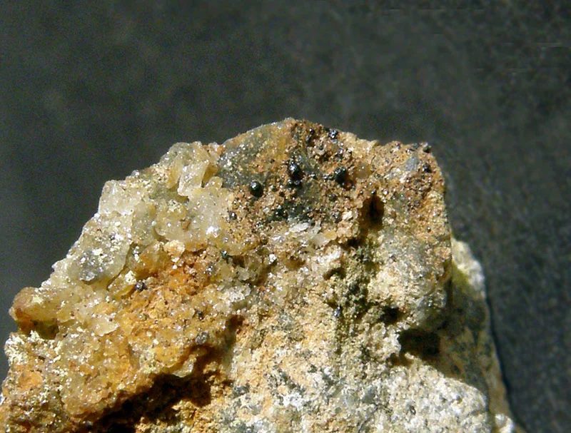 Eulytine