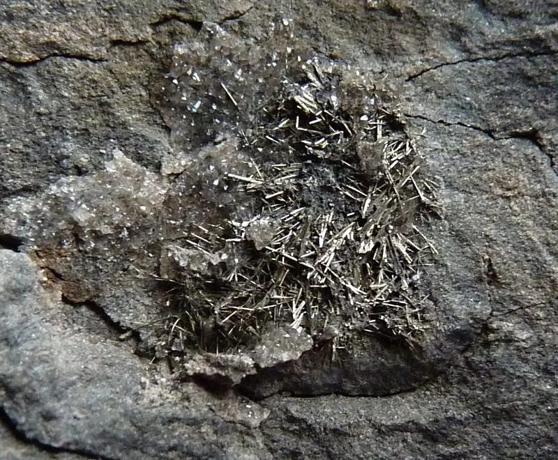 Mineral photo of Millerite from locality Staříč, Czech Republic