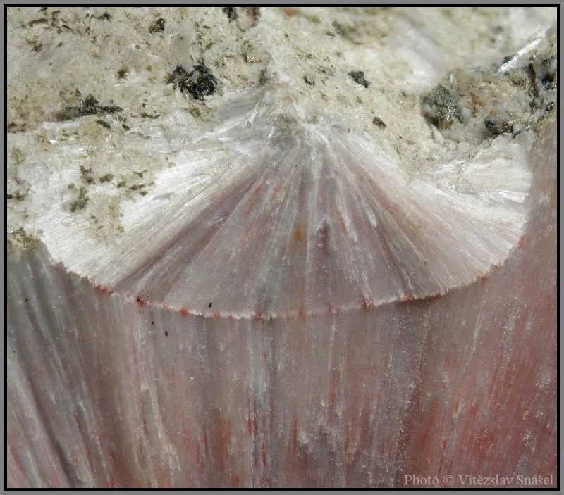 Pectolite