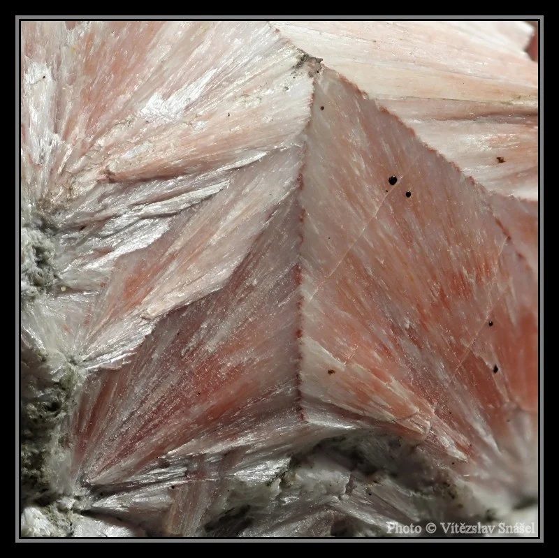 Pectolite
