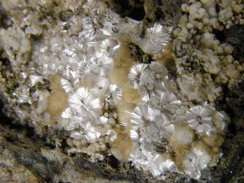 Mineral photo of Hörnesite, Picropharmacolite from locality Boží Dar, Krušné Hory, Czech Republic