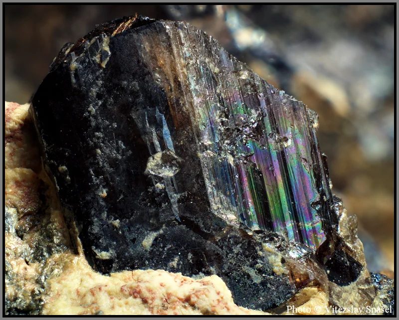 Mineral photo of Cassiterite from locality Hubský peň, Horní Slavkov, Czech Republic