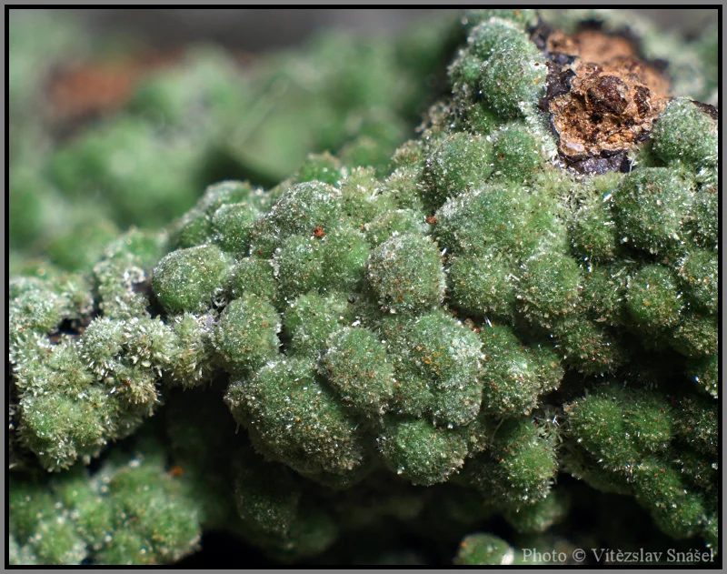 Mineral photo of Conichalcite from locality Ojuela Mine, Mexico