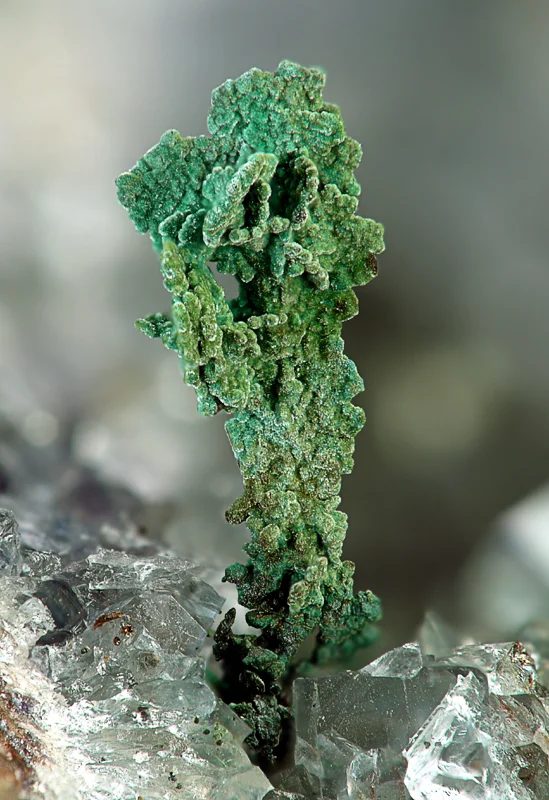 Mineral photo of Brochantite, Copper from locality Vrchoslav, Czech Republic