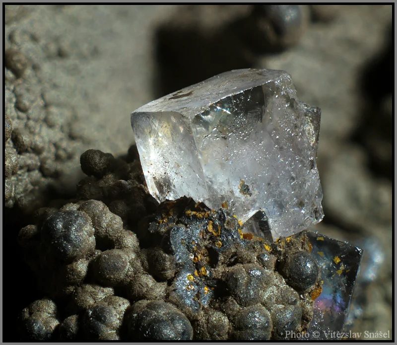 Mineral photo of Fluorite from locality Budjgar, Mongolia