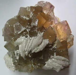 Mineral photo of Baryte, Fluorite from locality Běstvina, Czech Republic