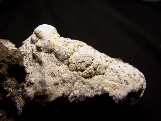 Mascagnite