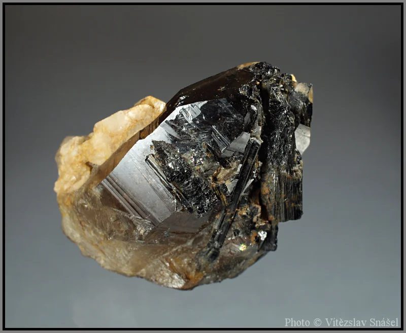 Mineral photo of Quartz (var. smoky), Schorl from locality Strážek, Czech Republic