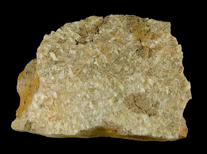 Mineral photo of Wavellite from locality Třenice, Czech Republic