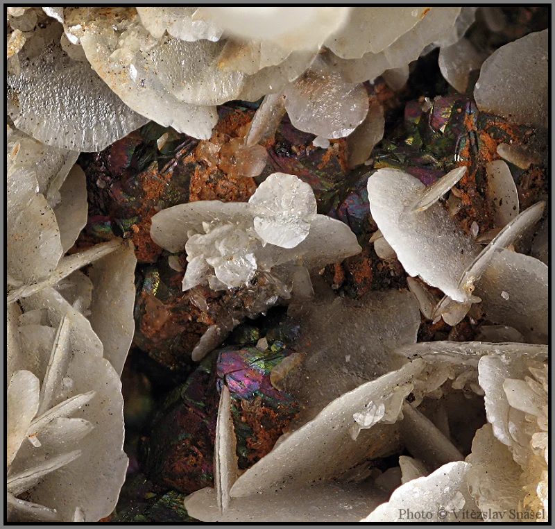 Mineral photo of Calcite, Pyrite from locality Jáchymov, Czech Republic