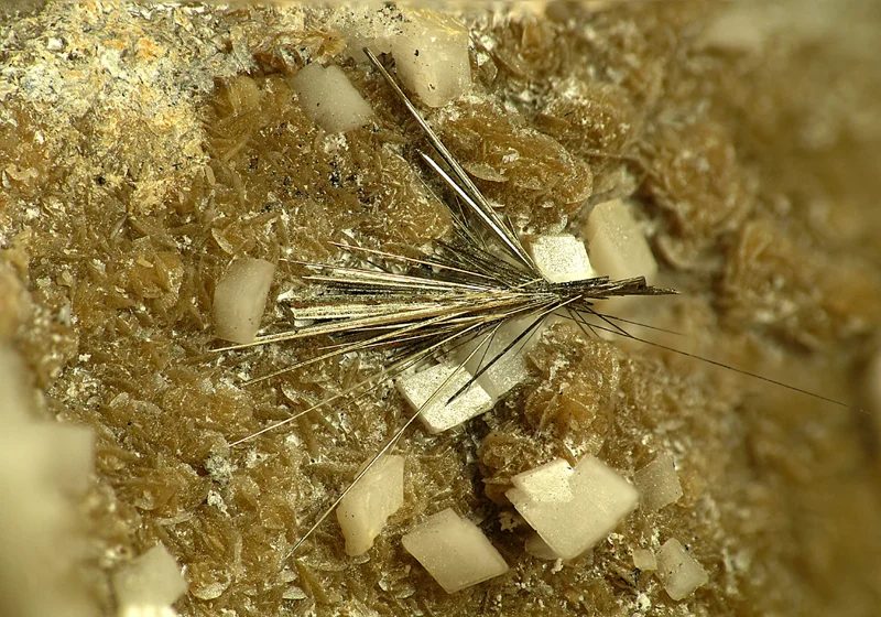 Mineral photo of Millerite from locality Kladno, Czech Republic