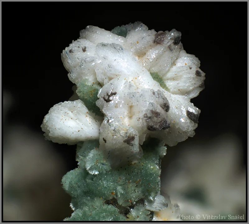 Albite, Pumpellyite-(Mg)