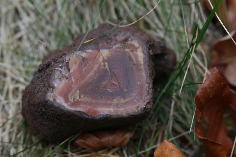 Mineral photo of Agate from locality Morcinov, Czech Republic