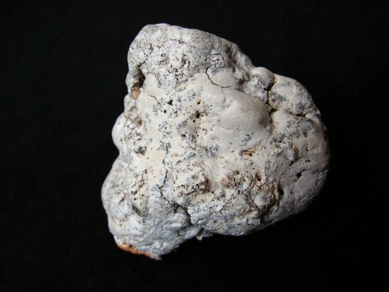 Sepiolite