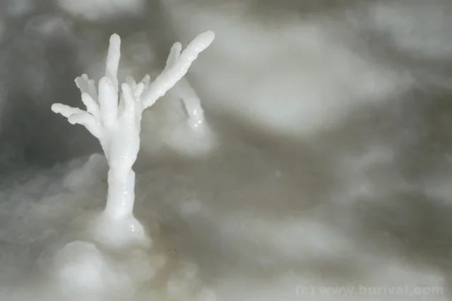 Aragonite