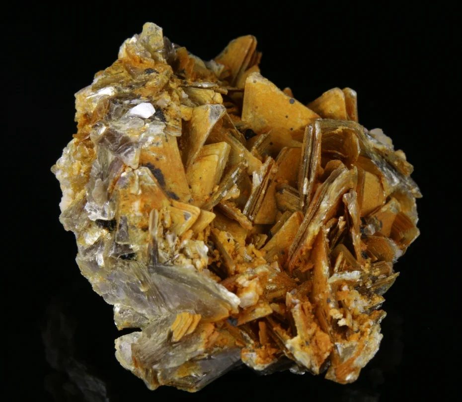 Muscovite