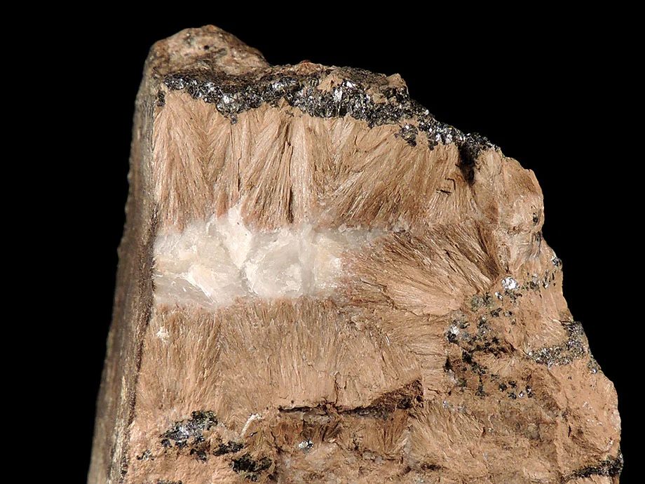 Bustamite
