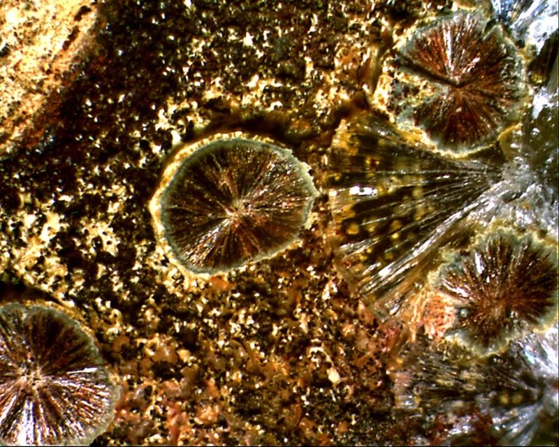 Beraunite