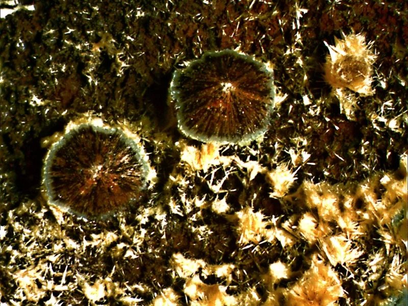 Beraunite, Cacoxenite