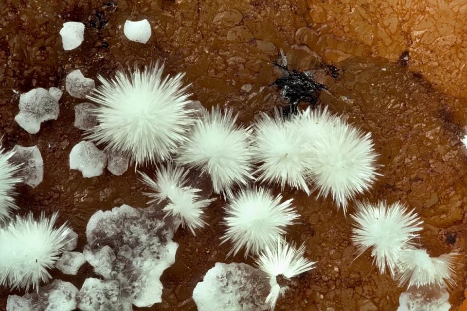 Aragonite
