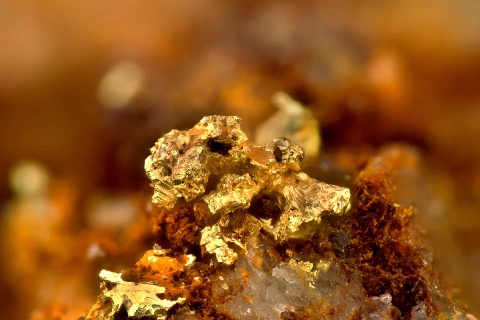 Gold