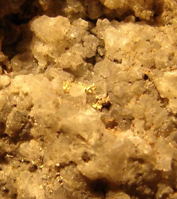 Mineral photo of Gold from locality Zlaté Hory, Czech Republic