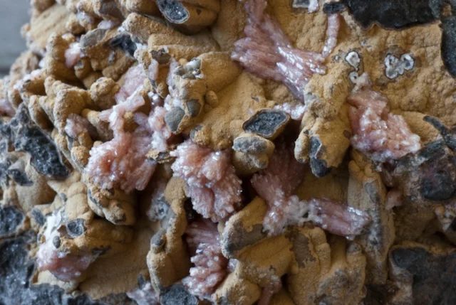 Mineral photo of Poldervaartite from locality Hotazel, South Africa