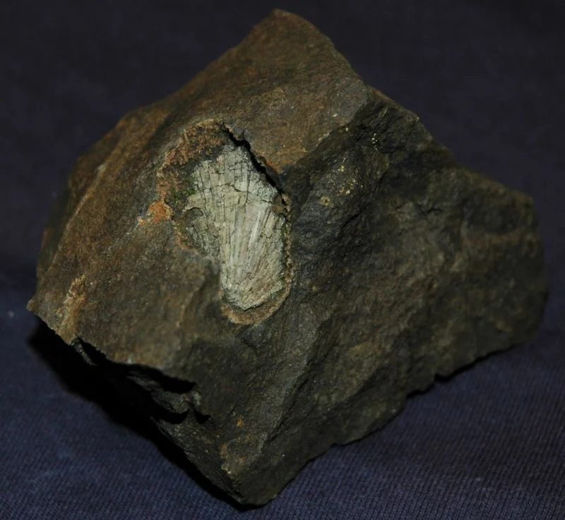Mineral photo of Aragonite from locality Petřkovická hůrka, Czech Republic