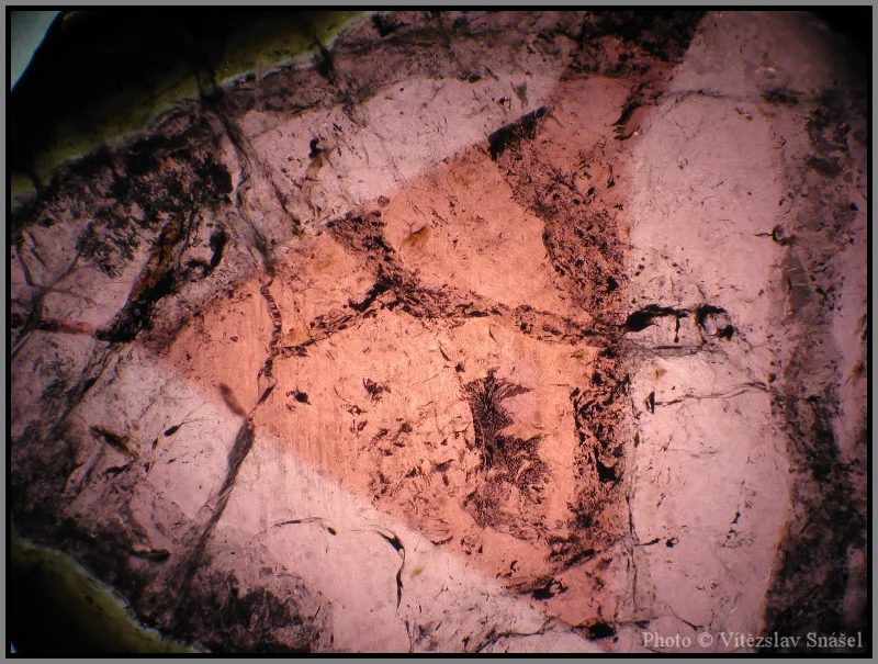Elbaite