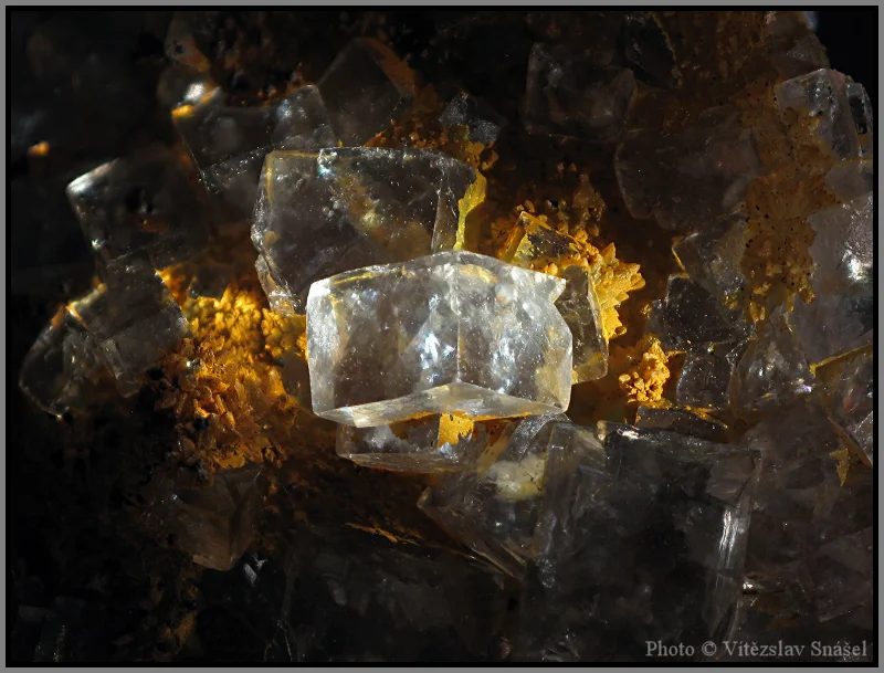 Mineral photo of Fluorite from locality Budjgar, Mongolia