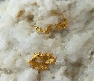 Mineral photo of Gold from locality Zlaté Hory, Czech Republic