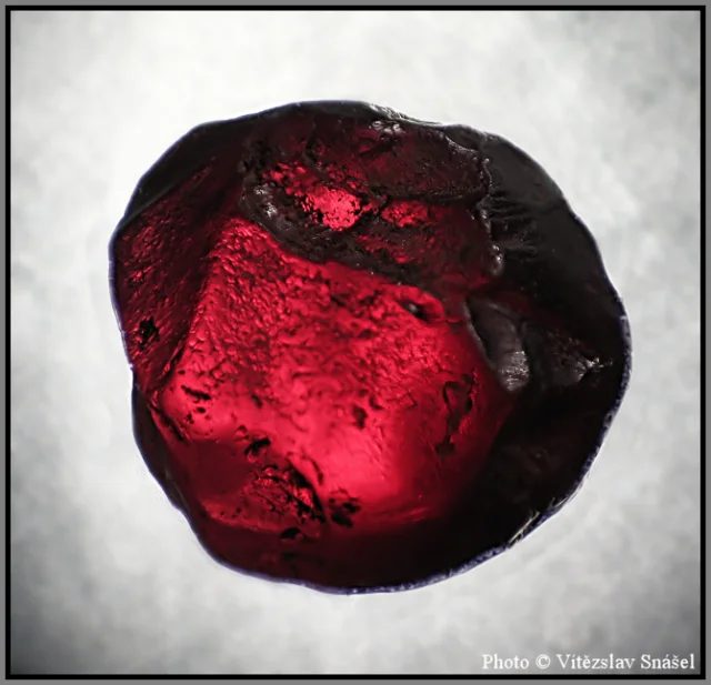 Mineral photo of Pyrope from locality Vestřev, Czech Republic