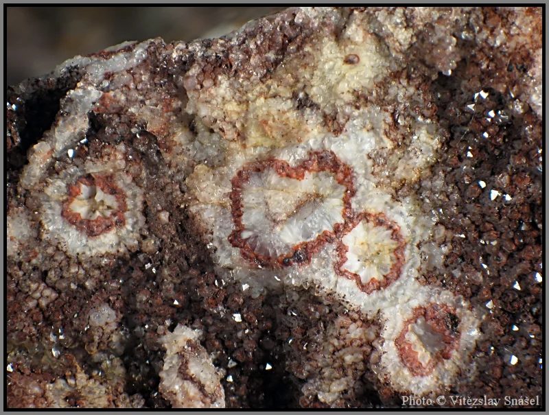 Mineral photo of Quartz from locality Orlické Záhoří, Czech Republic