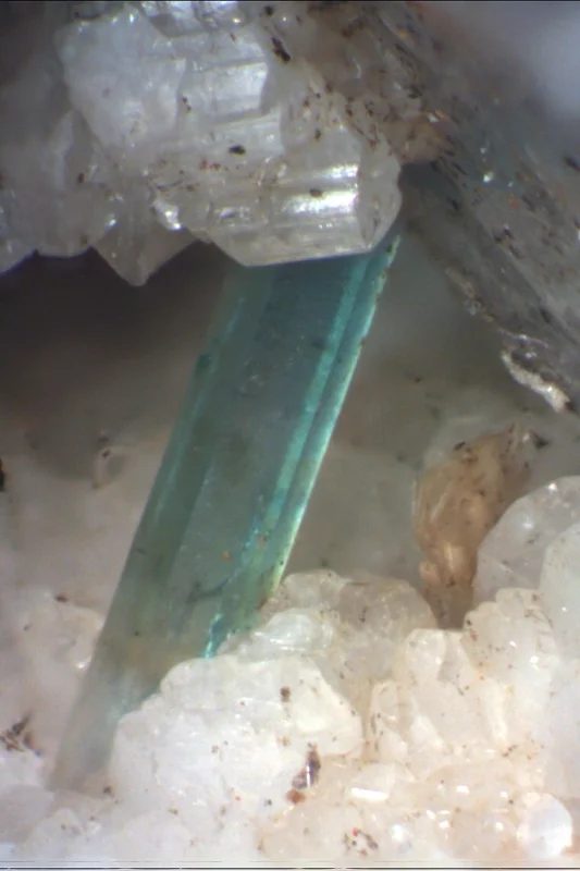 Mineral photo of Albite, Apatite from locality Písek - Obrázek I., Czech Republic