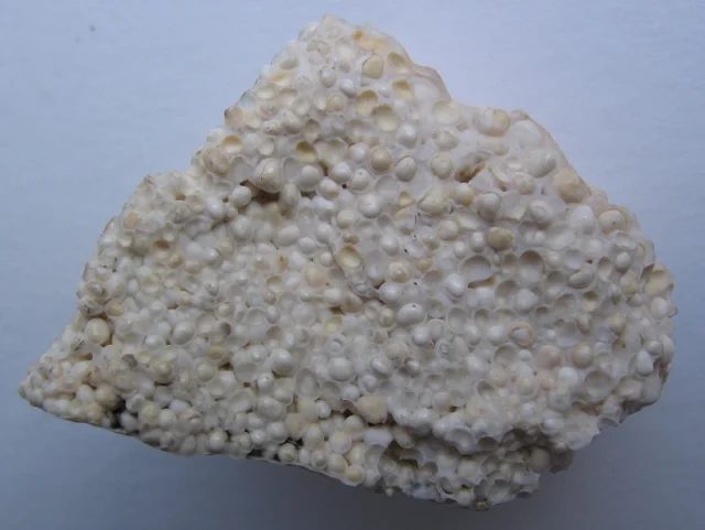 Aragonite
