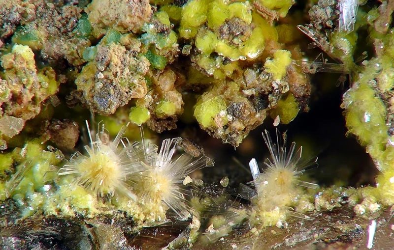 Autunite, Gypsum, Metatorbernite