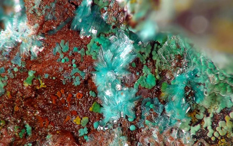 Serpierite