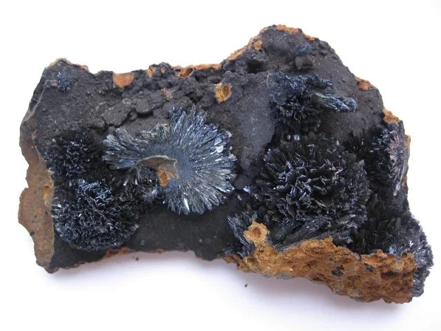 Mineral photo of Vivianite from locality Kerch, Ukraine