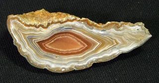 Mineral photo of Agate from locality Levín, Czech Republic