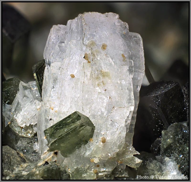 Mineral photo of Albite, Diopside from locality Tormiq Valley, Haramosh Mts., Skardu District, Gilgit-Baltistan, Pakistan