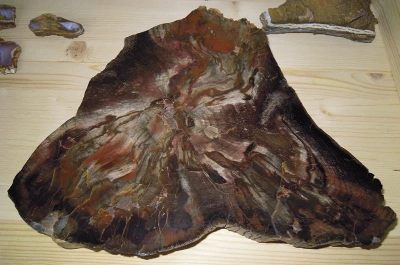 Mineral photo of Quartz (var. petrified wood) from locality Očihov, Czech Republic