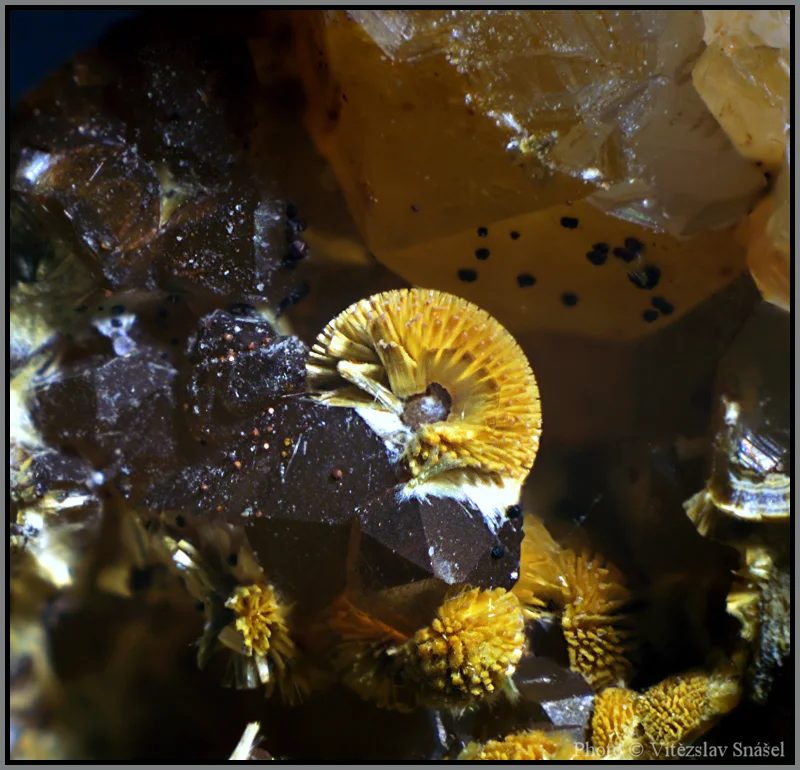Mineral photo of Cacoxenite from locality Těškov, Czech Republic